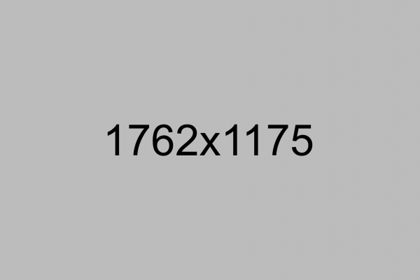 img10 img10