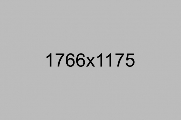 img14 img14